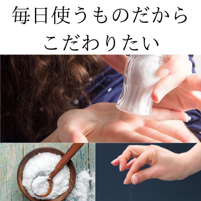 球美の塩500g10個