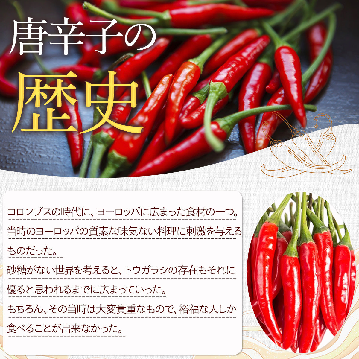乾燥トウガラシ10g