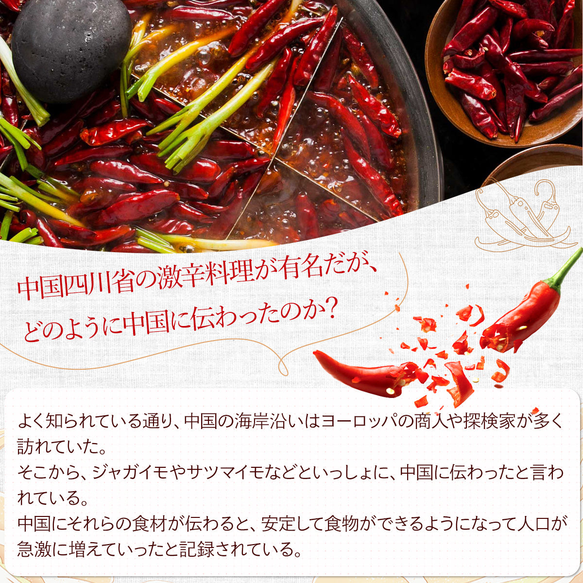 乾燥トウガラシ10g