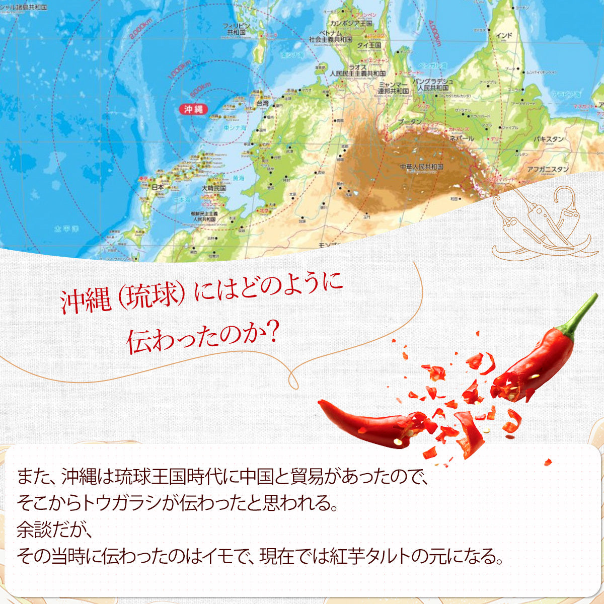 乾燥トウガラシ10g