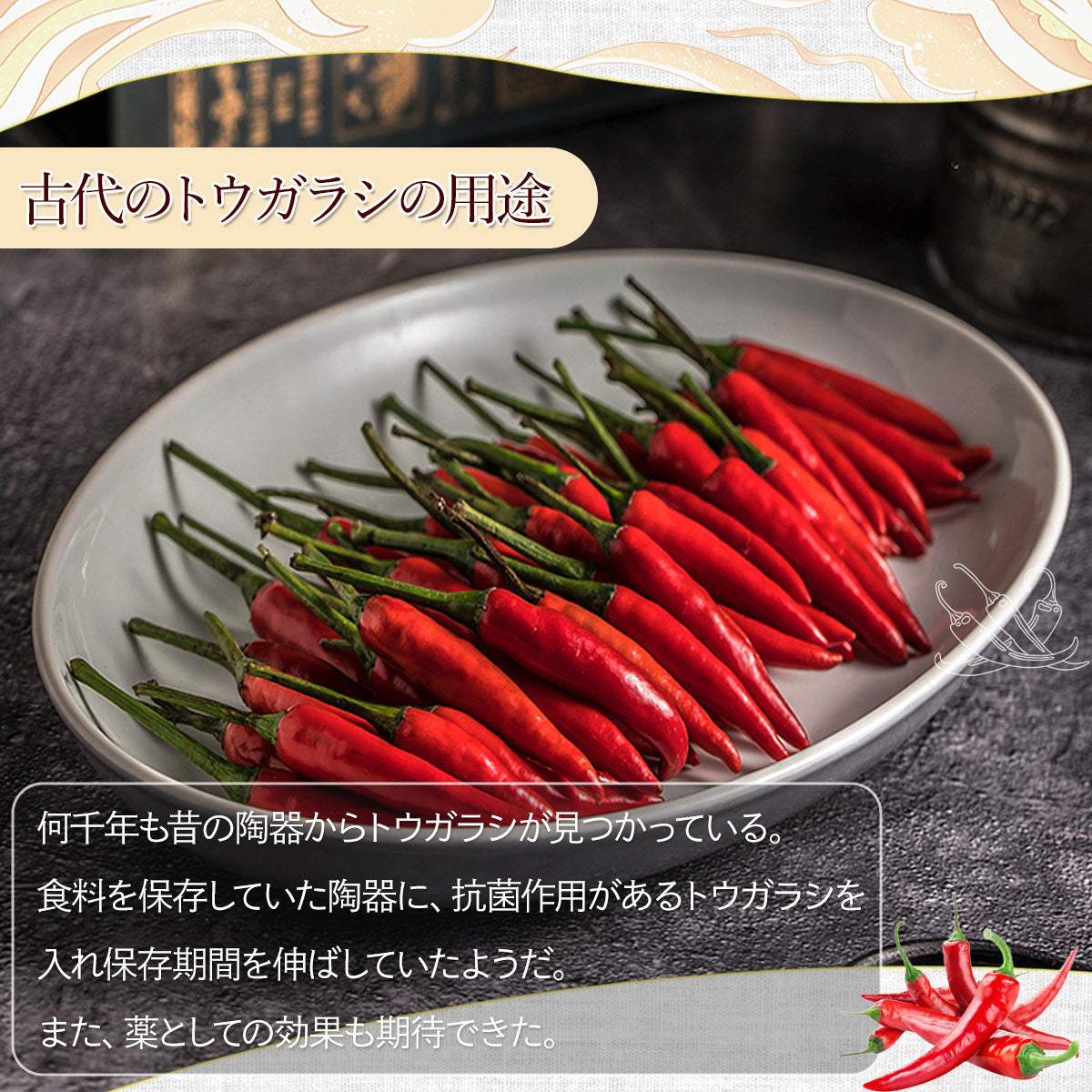 乾燥トウガラシ10g