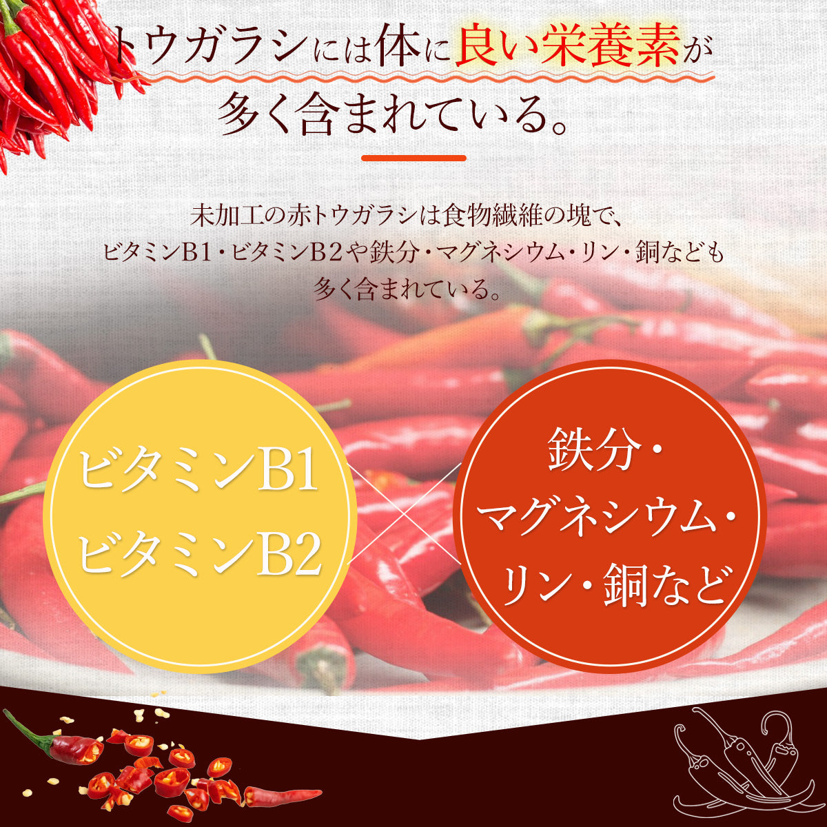 乾燥トウガラシ10g