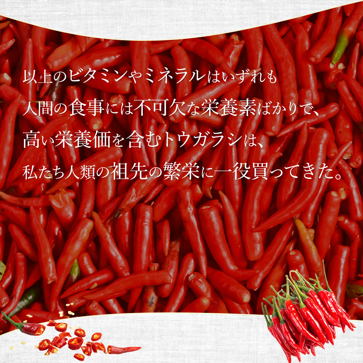 乾燥トウガラシ10g