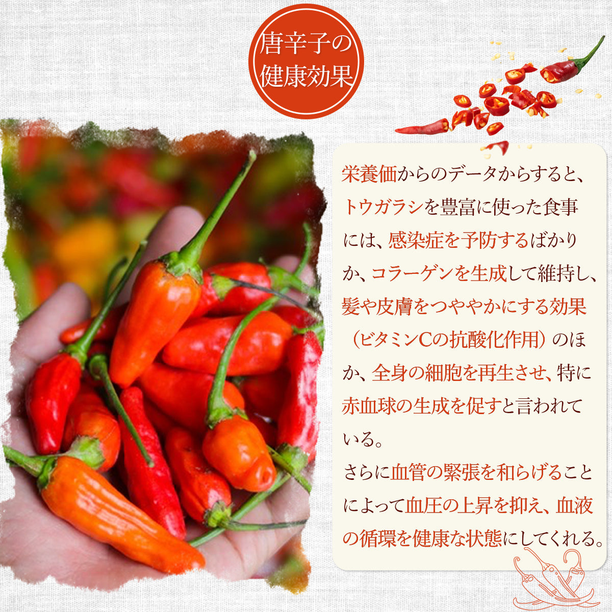 乾燥トウガラシ10g
