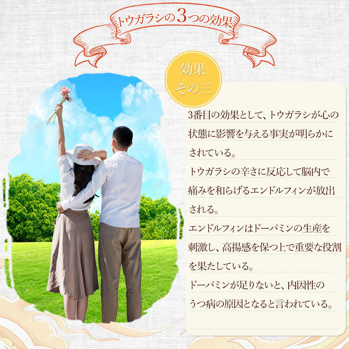乾燥トウガラシ10g