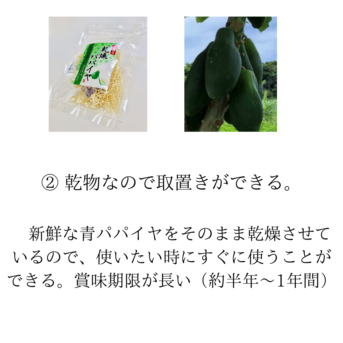 乾燥パパイヤ100g×1個