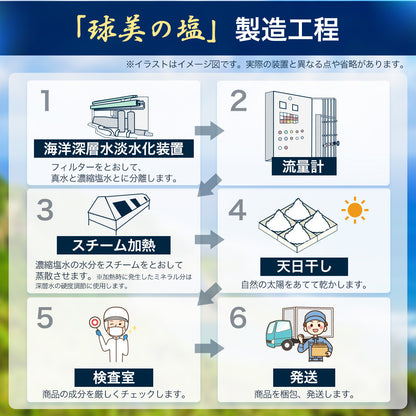 球美の塩500g×2個