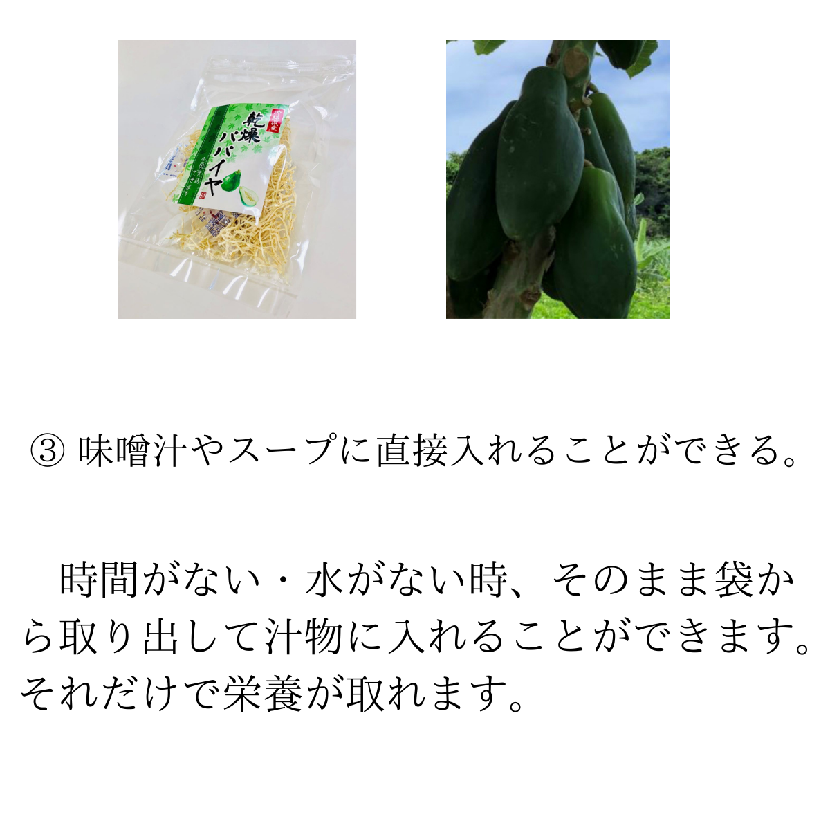 乾燥パパイヤ100g×1個