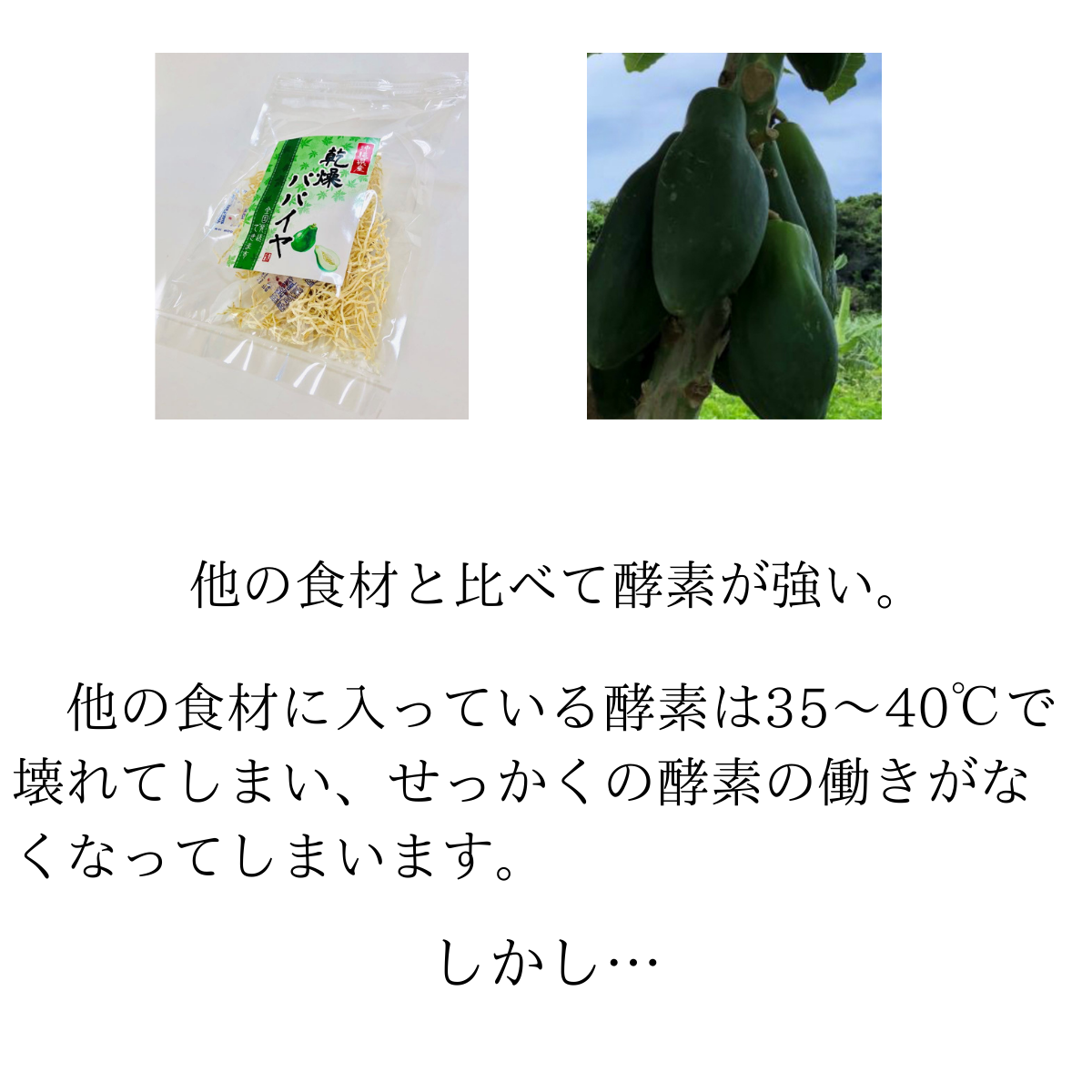 乾燥パパイヤ100g×1個
