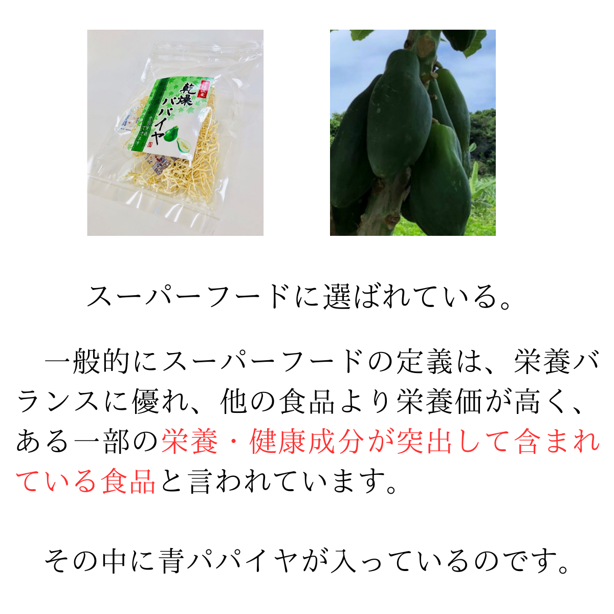 乾燥パパイヤ100g×1個