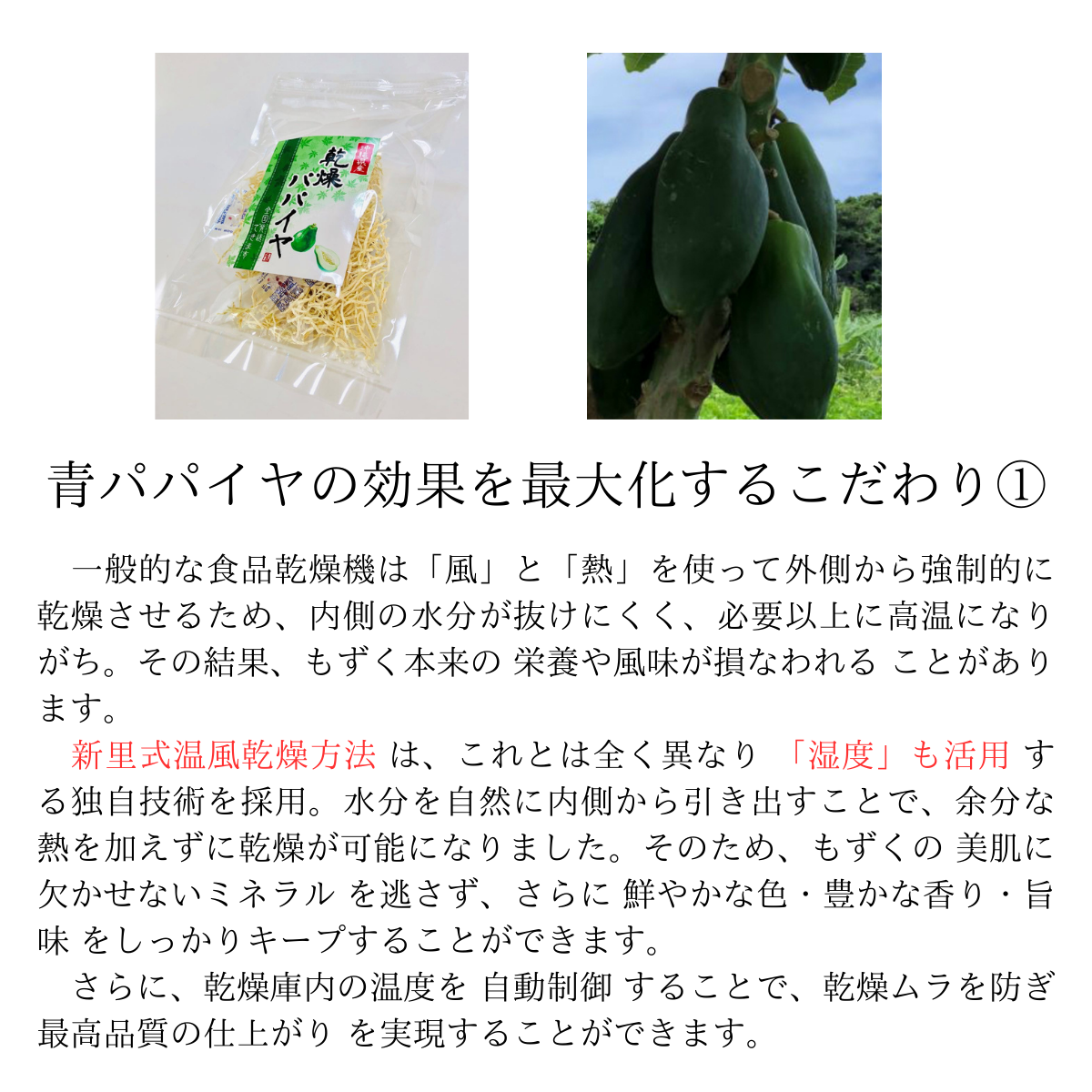 乾燥パパイヤ100g×1個