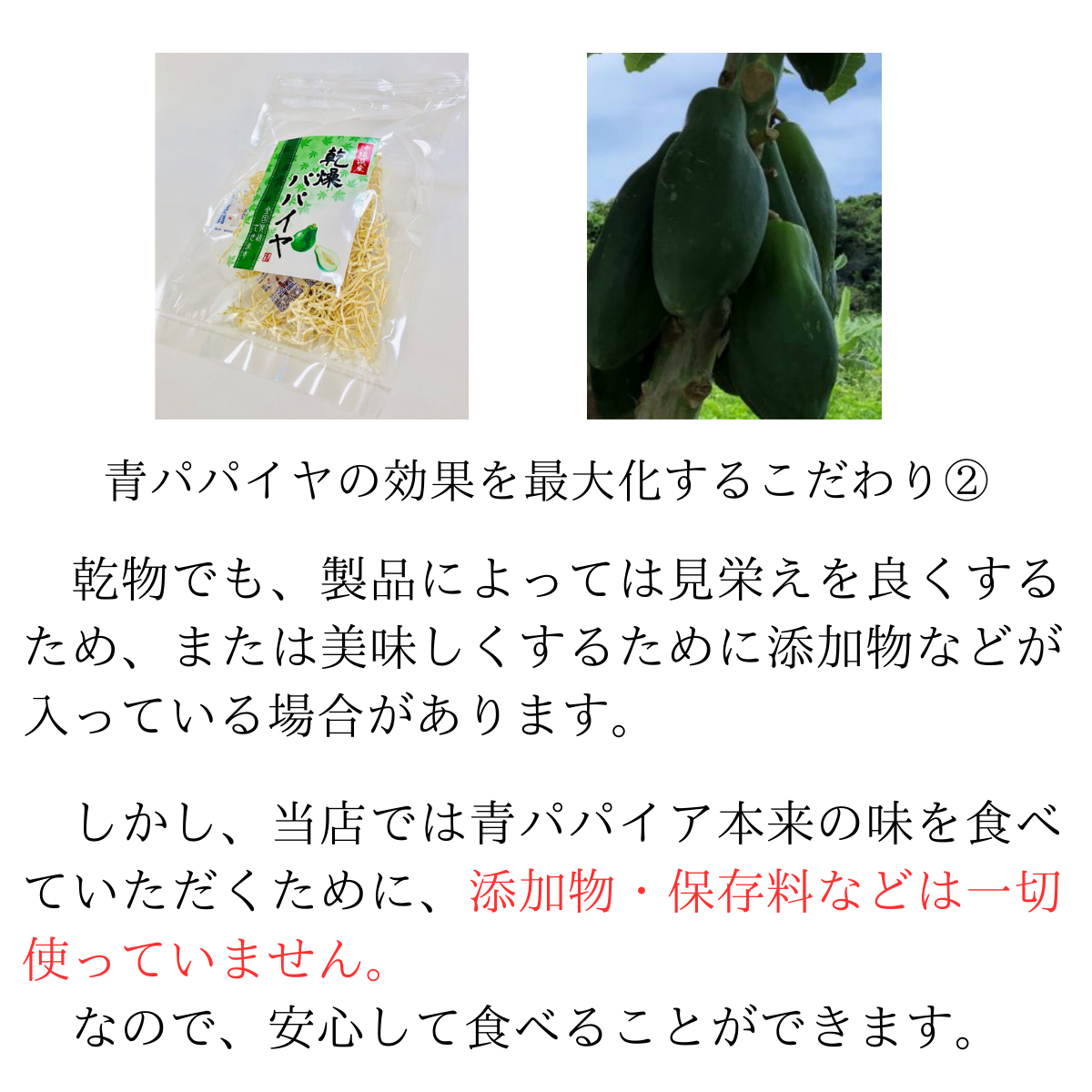 乾燥パパイヤ100g×1個