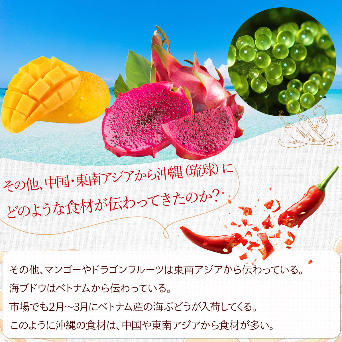 乾燥トウガラシ50g
