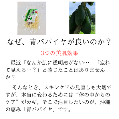 乾燥パパイヤ100g×1個