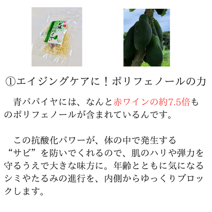 乾燥パパイヤ100g×1個