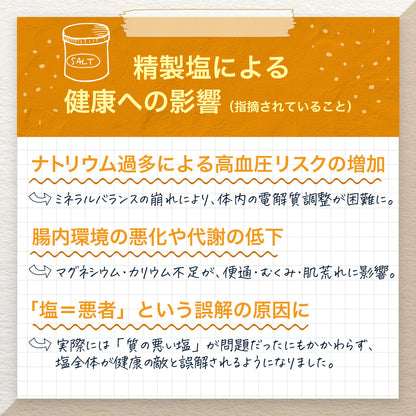 球美の塩500g×2個