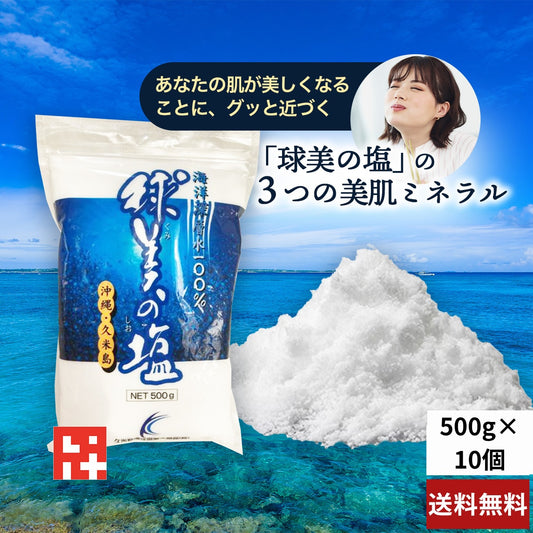 球美の塩500g×10個
