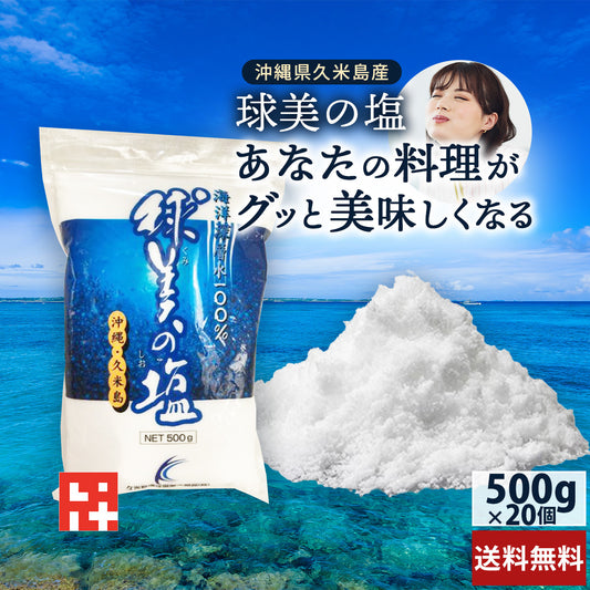球美の塩500g×20個