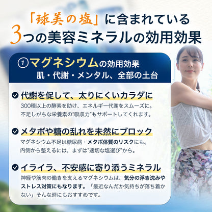 球美の塩500g×2個