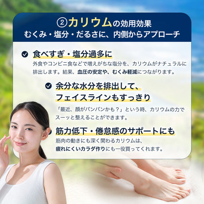 球美の塩500g×2個