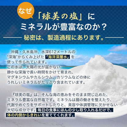 球美の塩500g×2個