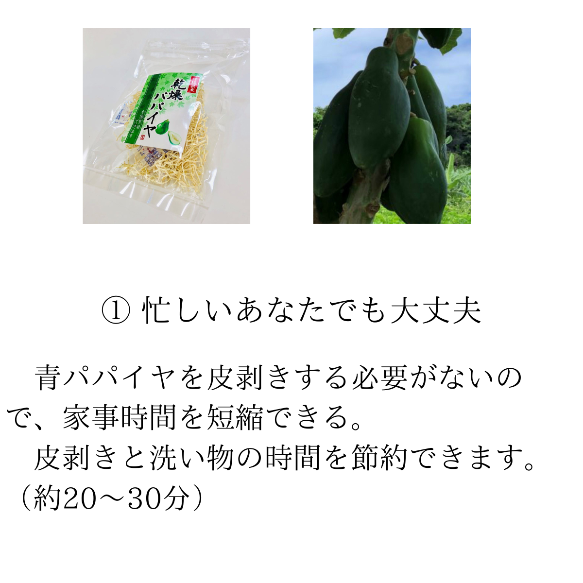 乾燥パパイヤ100g×1個